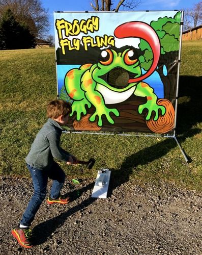 Flying Froggy Carnival Game